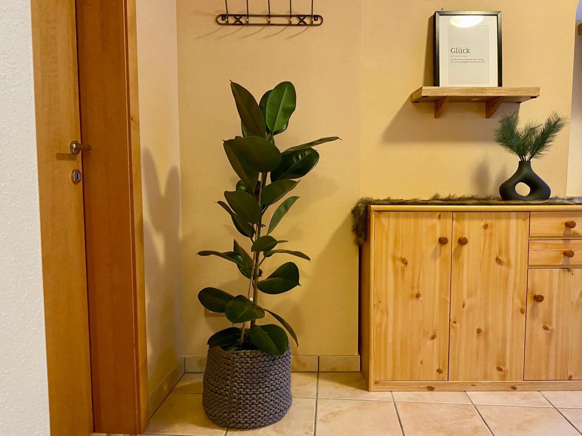Appartement Auwald Форстау Экстерьер фото